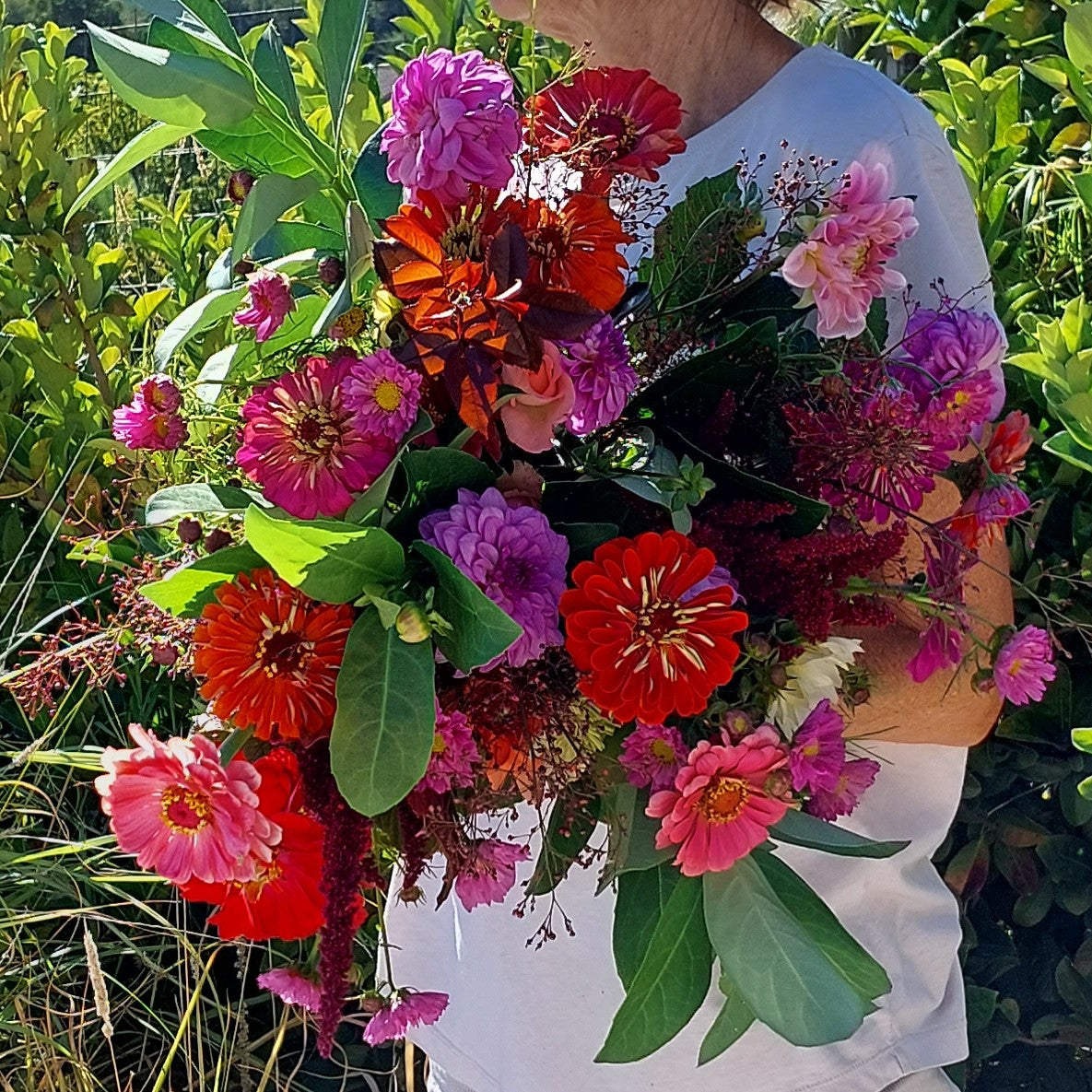Medium Bunch - R300