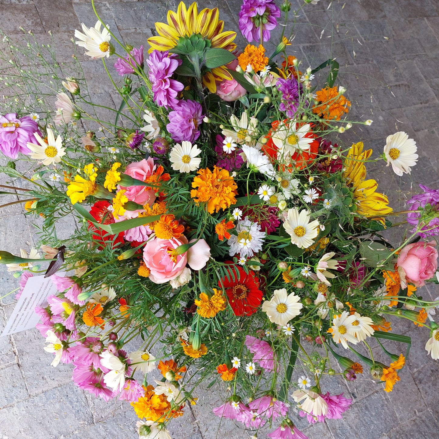 XL Extra Large Bunch - R600
