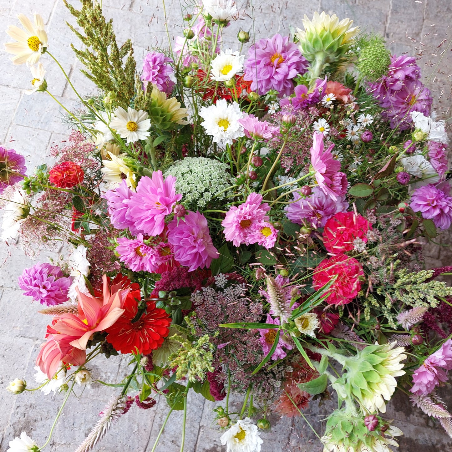 XL Extra Large Bunch - R600
