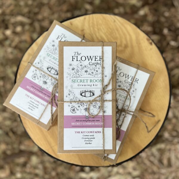 Cosmos Secret Room Growing Kit