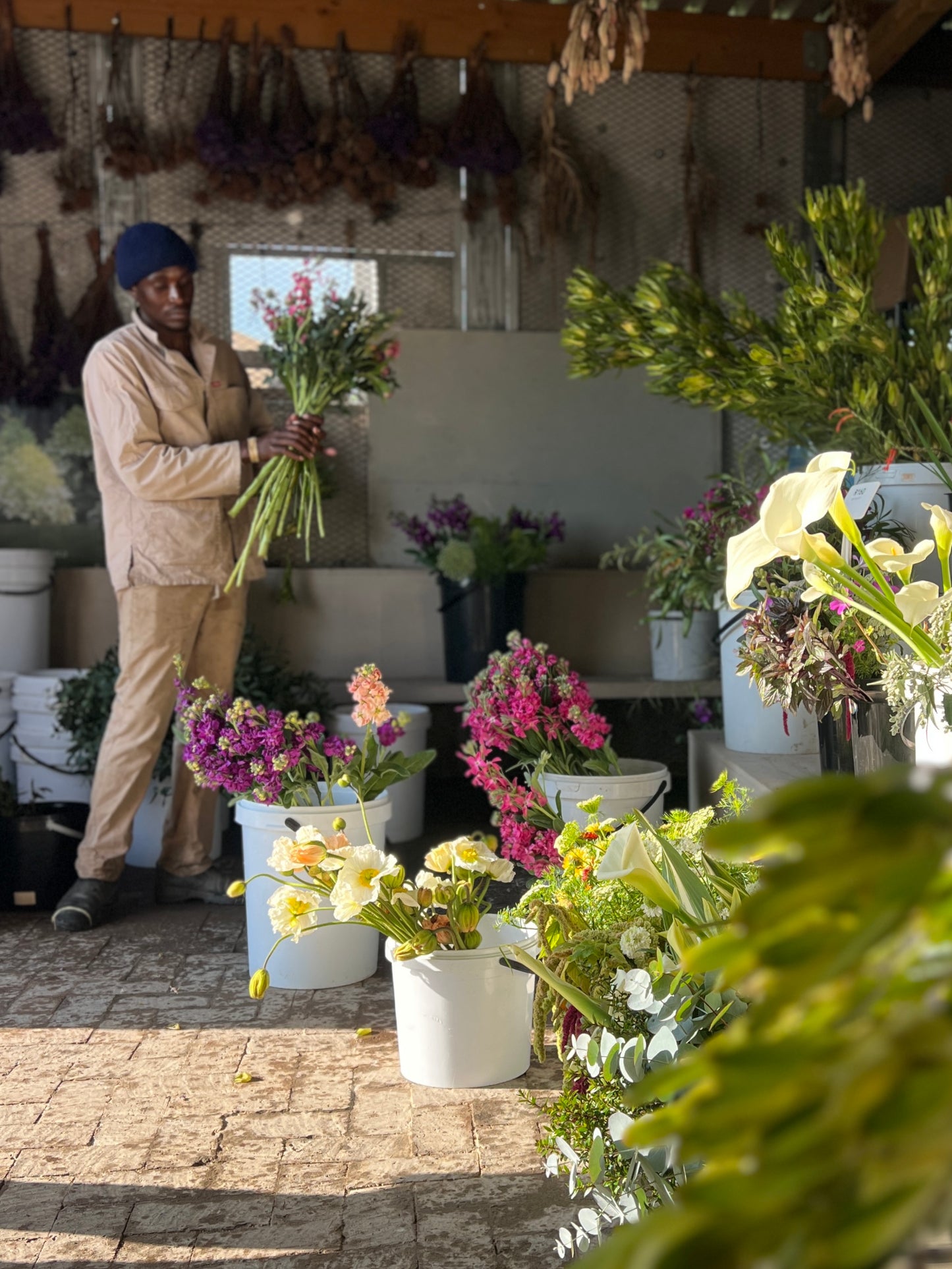 Standard Bunch - R180