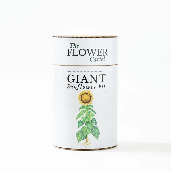 Giant Sunflower Kit