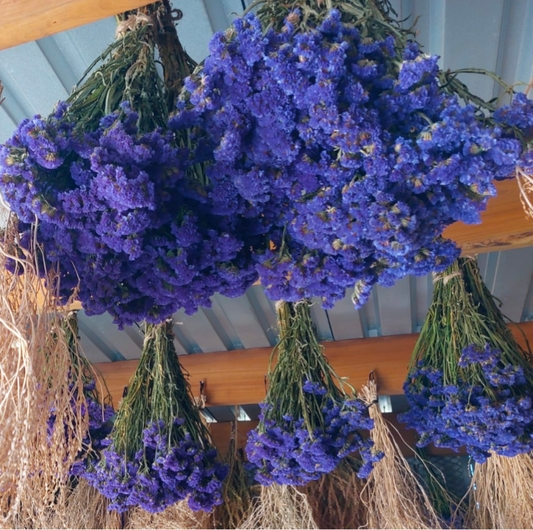 Dried Statice - deep blue/purple