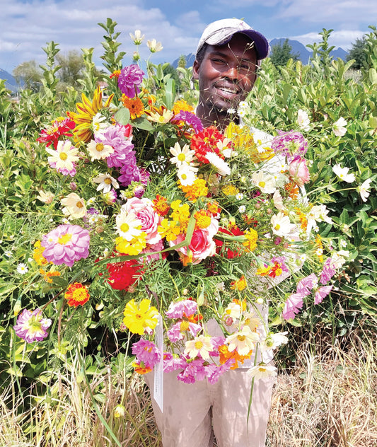 XL Extra Large Bunch - R600
