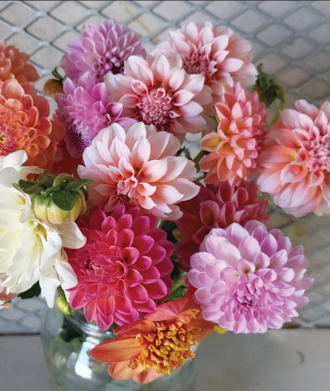 Cut Flowers Jamestown Flower Farm